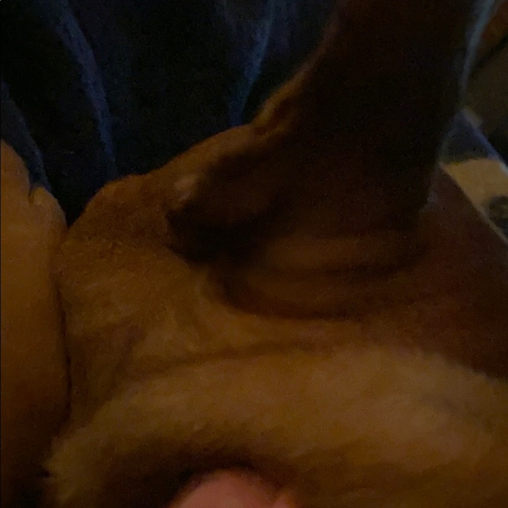 Meet your Posher, Dominique